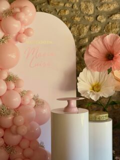Batizado da Maria Luísa ❤️
Decoração em Casa de Família!